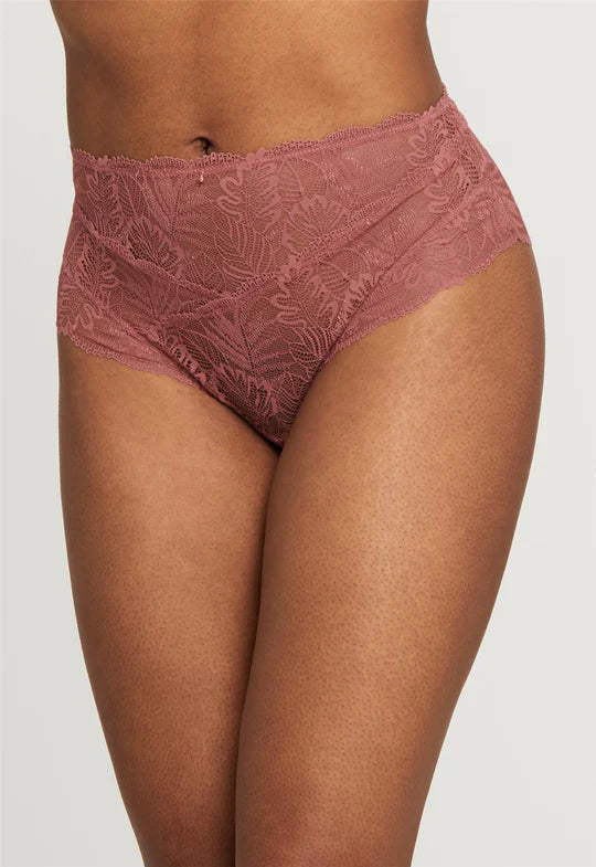Montelle Cocoa Lace Cheeky Panty – Lion's Lair Boutique