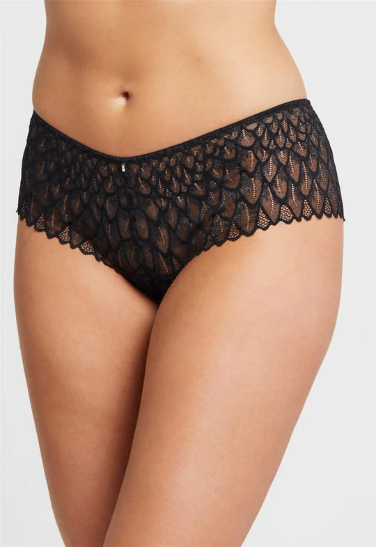 Montelle Cocoa Lace Cheeky Panty – Lion's Lair Boutique