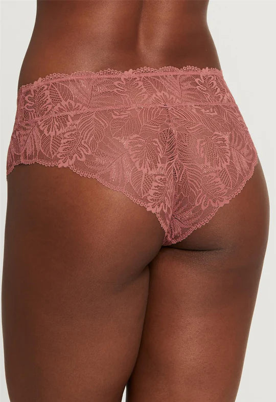 Montelle Microfiber and Lace Thong-XXL only – Indulge Boutique